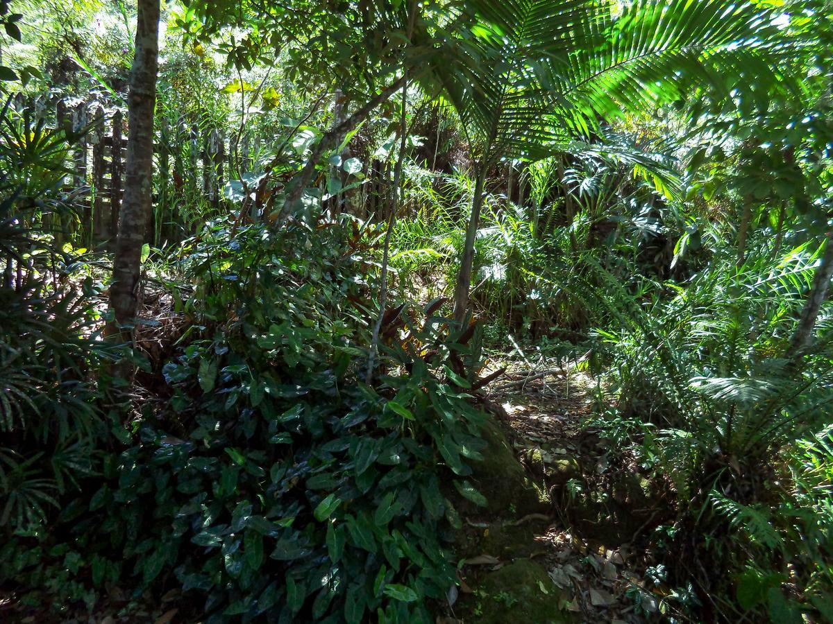 Laguna Guarujá Kültér fotó